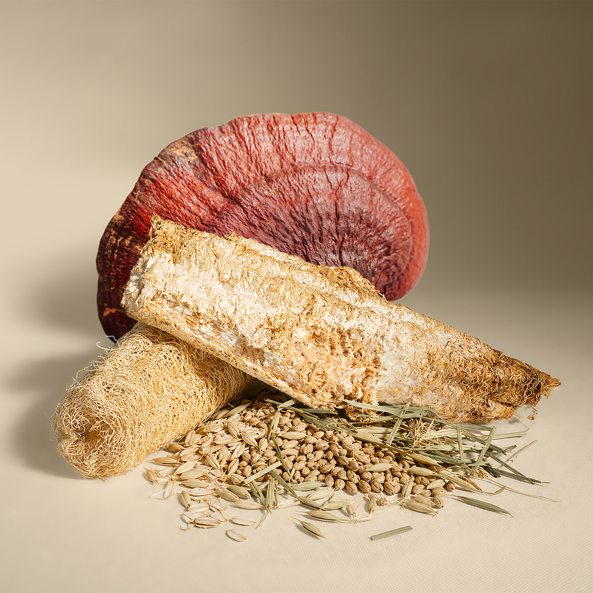 Close-up of Loomyco material with Reishi and loofah