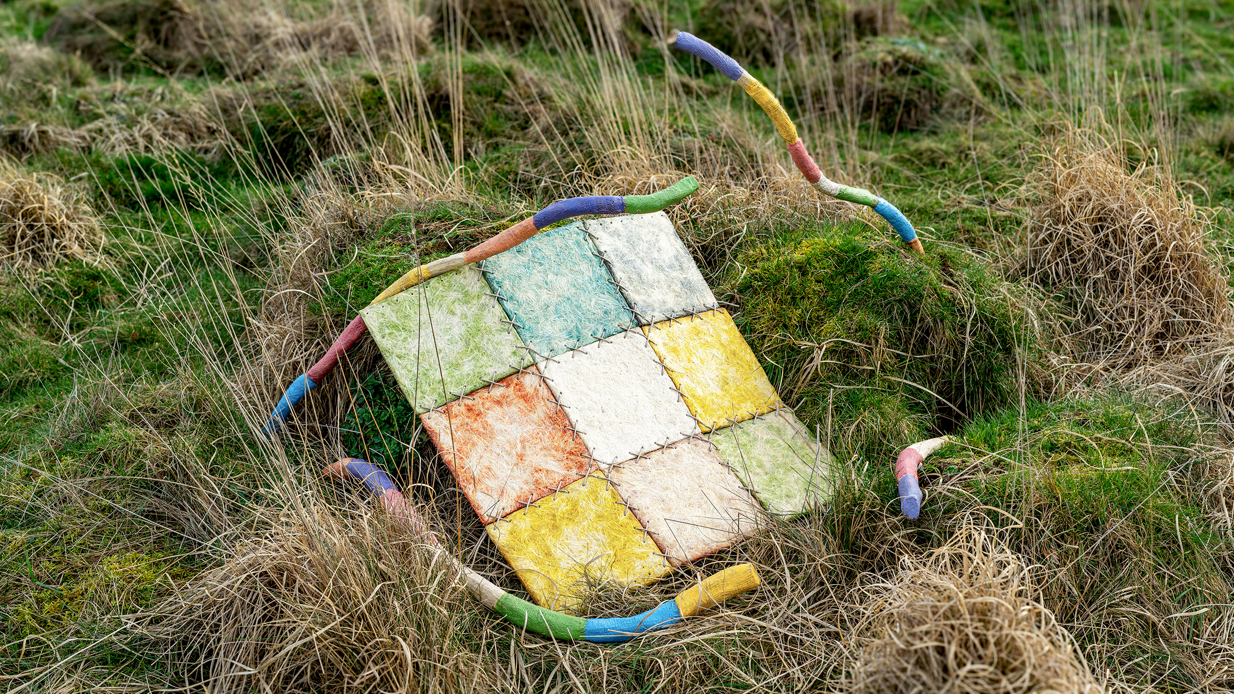 Spoor animal self-selection interface photographed outdoors in grasses